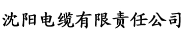 亚洲熟妇av一区二区三区四季电缆厂logo